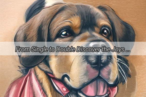 From Single to Double Discover the Joys of Adopting a Furry Friend Before Marriage